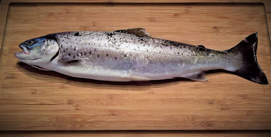 fresh trout on wooden tray at 'Fresko'